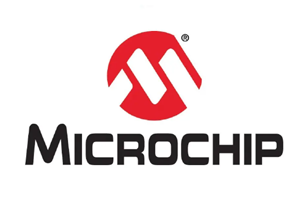 микрочип